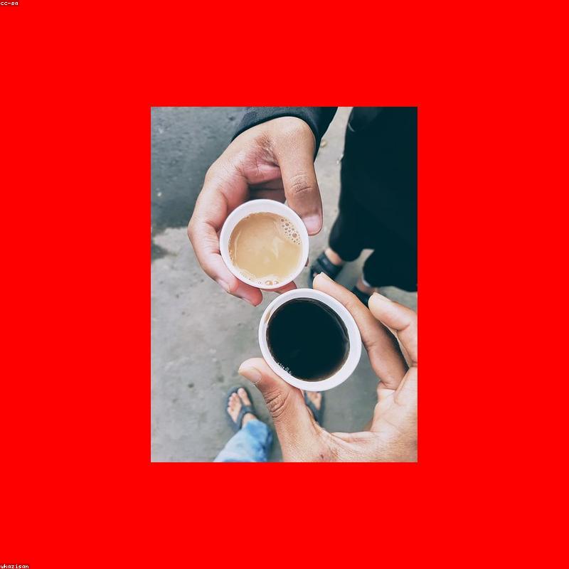 Silver Needle White Tea — 50g